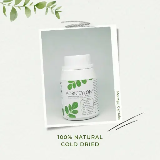 Moringa Capsules - 500mg x 60 HPMC Capsules